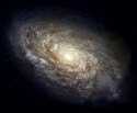 Click for the NGC 4414 Spiral Galaxy Shop