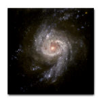 NGC 3310 Starburst Galaxy Tile Coaster